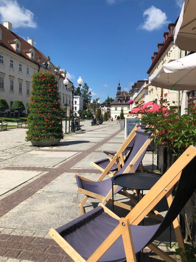 Jodla I Modrzew Apartment Jelenia Gora Exterior photo
